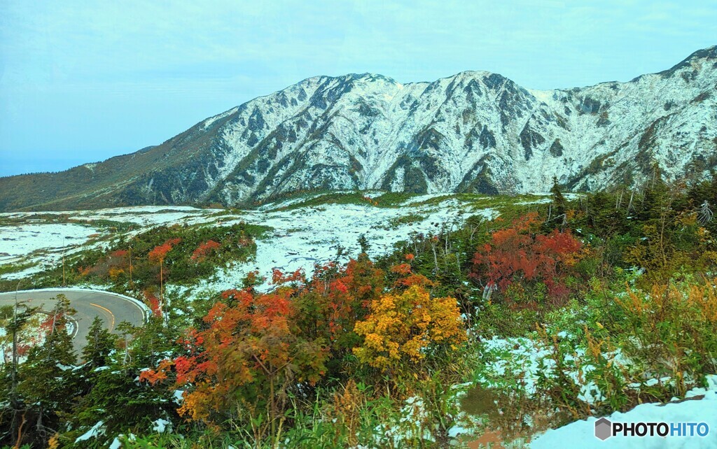 雪山と紅葉