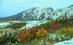 雪山と紅葉