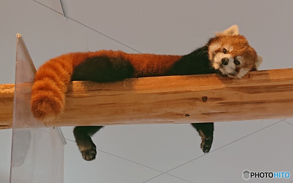 今日もお疲れ様です