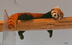 今日もお疲れ様です