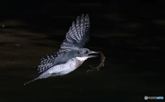 刺さってますね(^_^;)