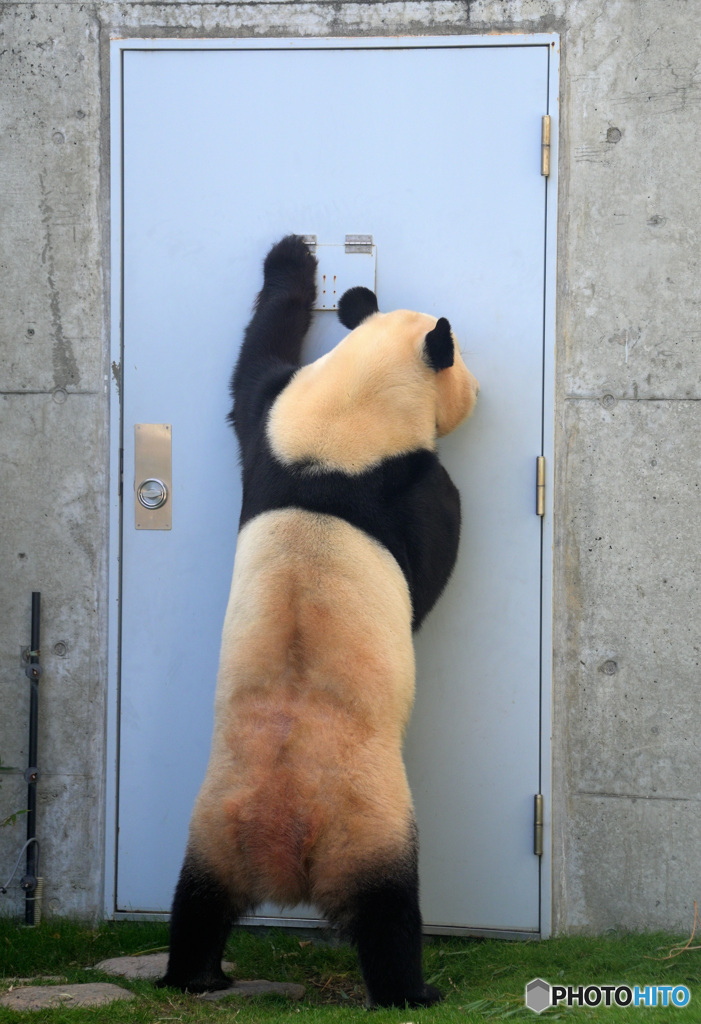 早く出て！漏れそうなの！