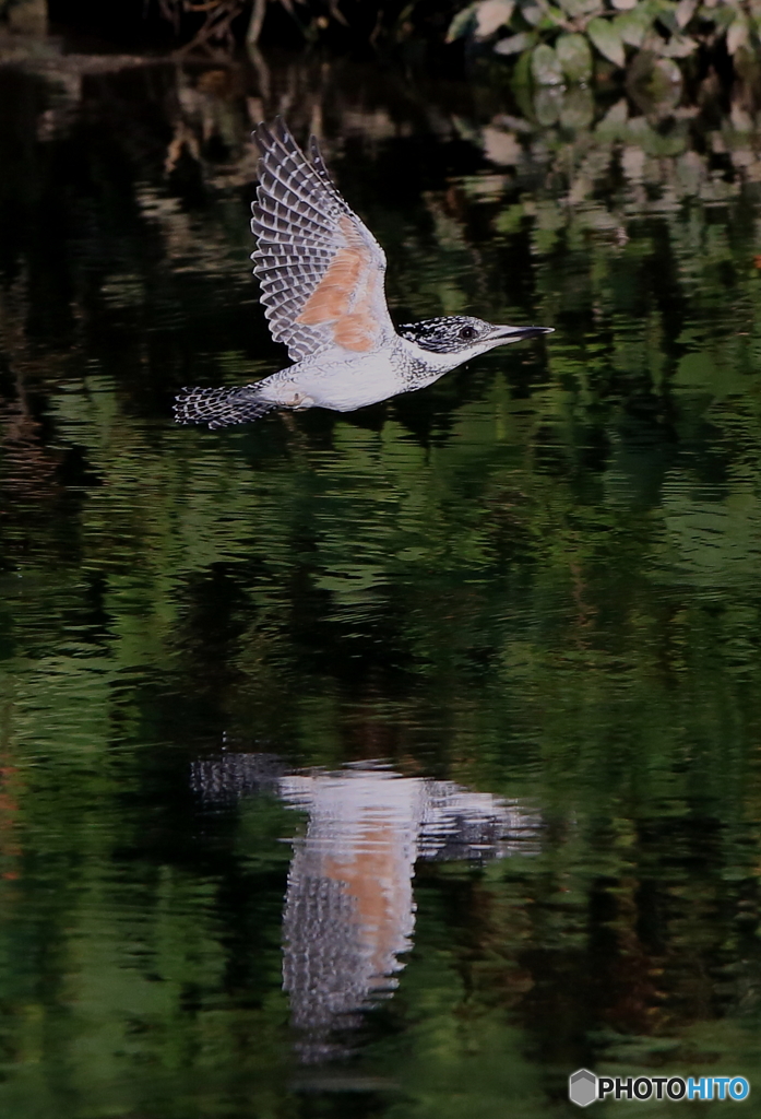 本日の水鏡(20161002）