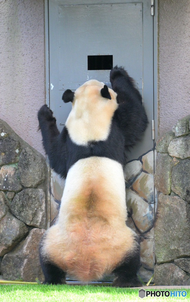 忍び寄るシロクロの影(^_^;)