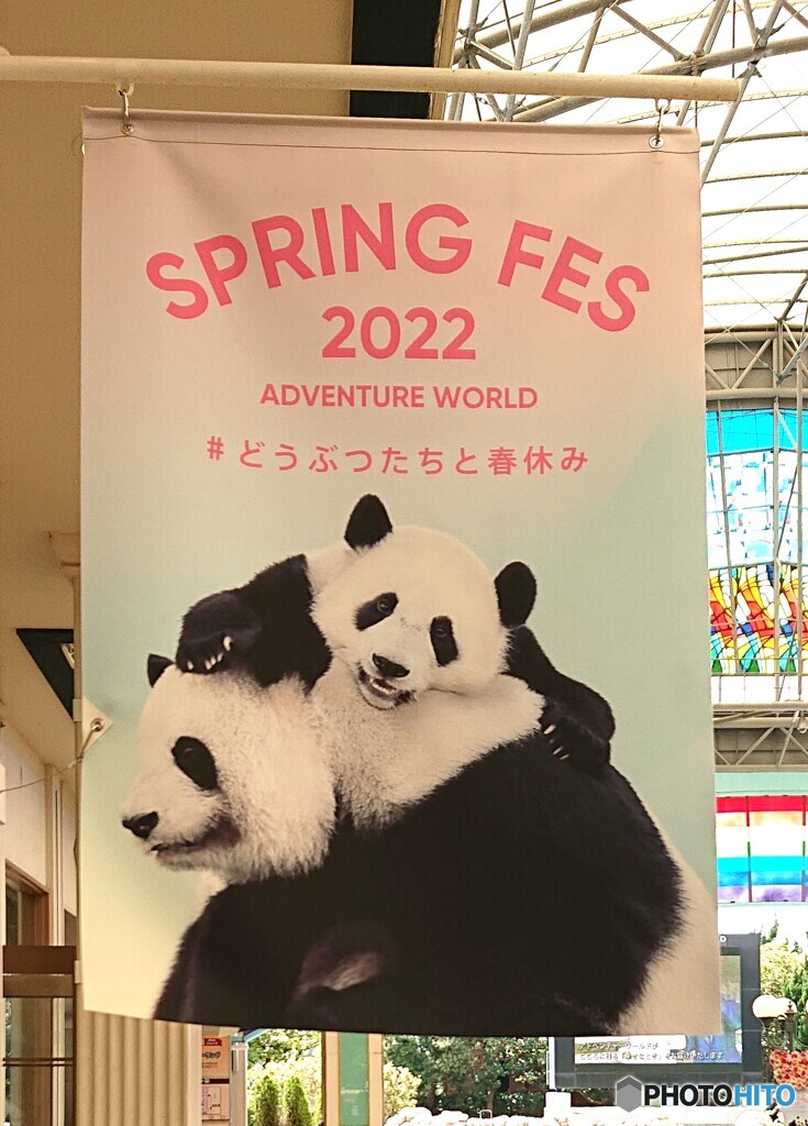 スプリングフェス