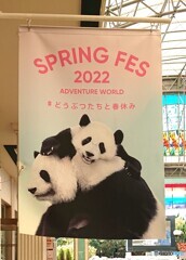 スプリングフェス