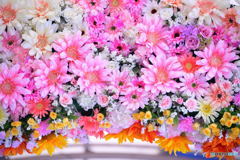 アルジャーノンに花束を