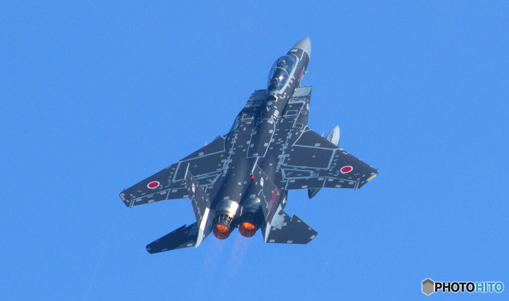アグレッサー・ブラックⅡ