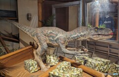 USJのヴェロキラプトル