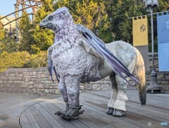 本日のヒッポグリフ