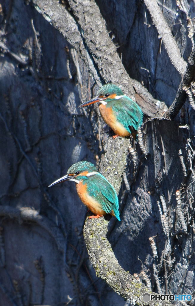 久しぶりのツーショット