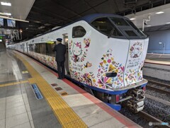 特急キティはるか