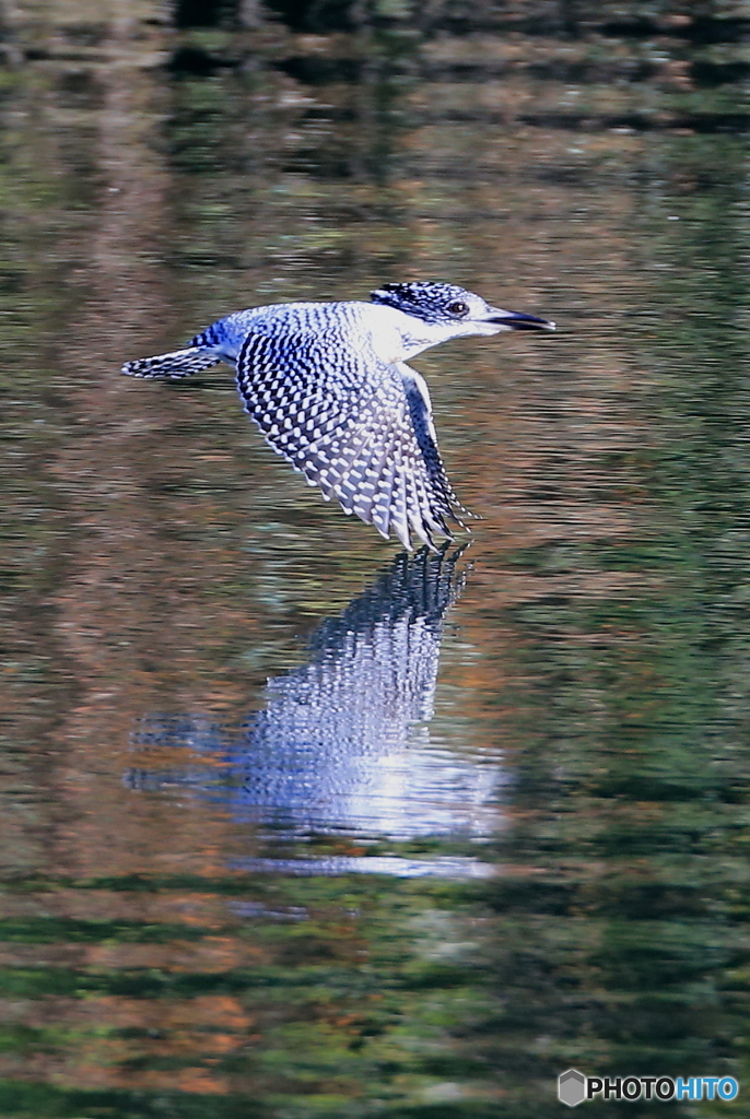 水鏡