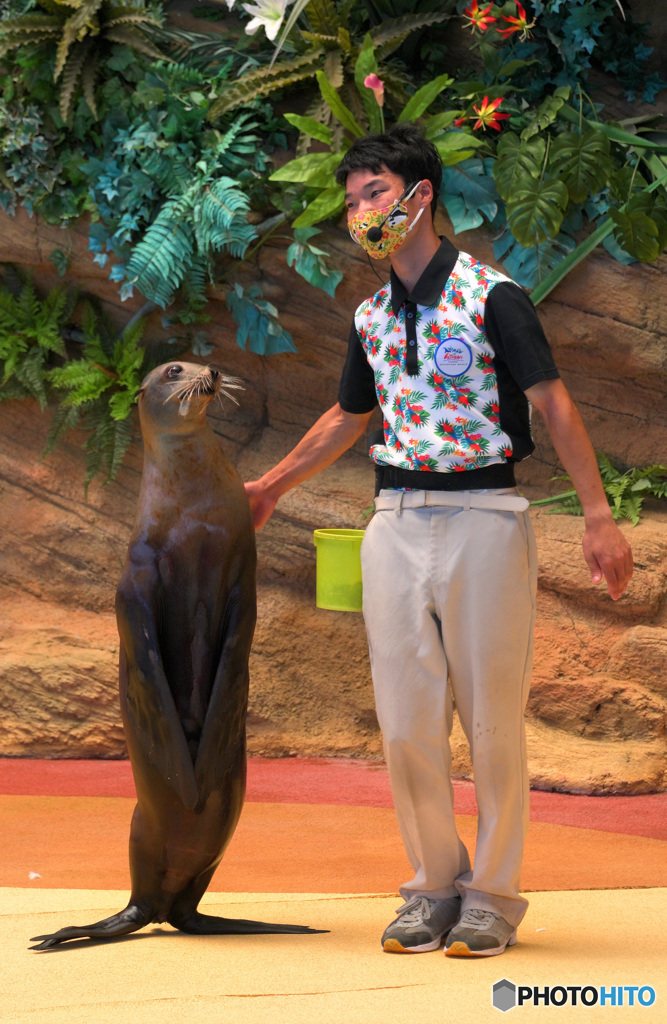 私のパートナー