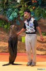 私のパートナー