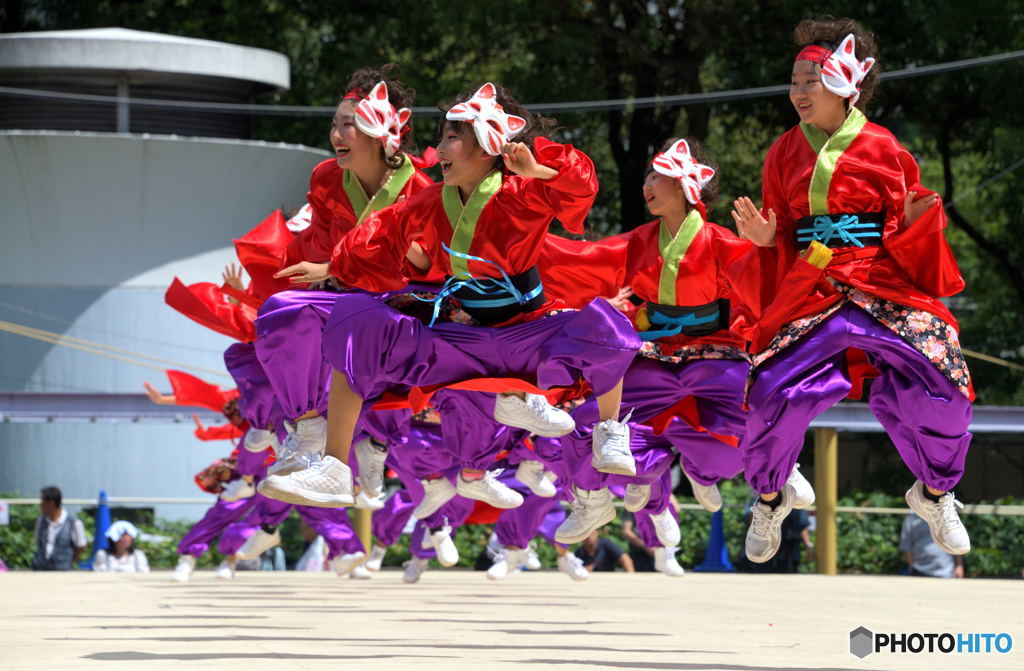 「第20回にっぽんど真ん中祭り」より㉝