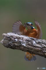 タッチダウン！