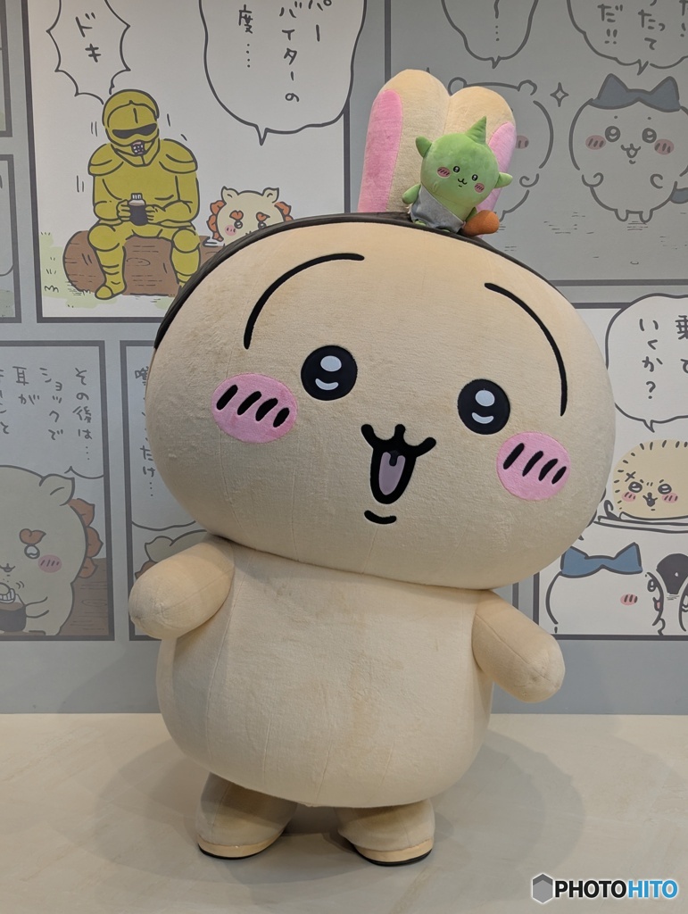 昨日のうさぎ