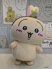 昨日のうさぎ