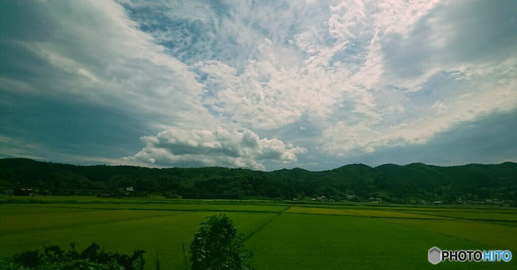 東北本線の車窓より