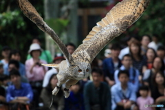 行きます