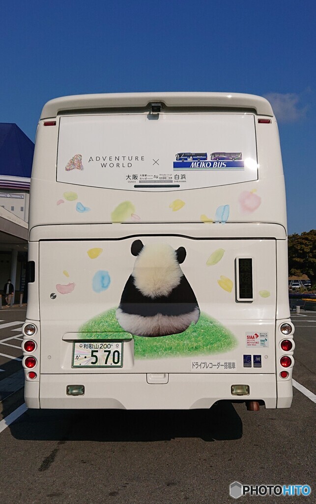 バスの背中