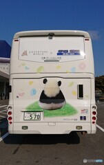 バスの背中