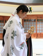 その時を静かに待つ
