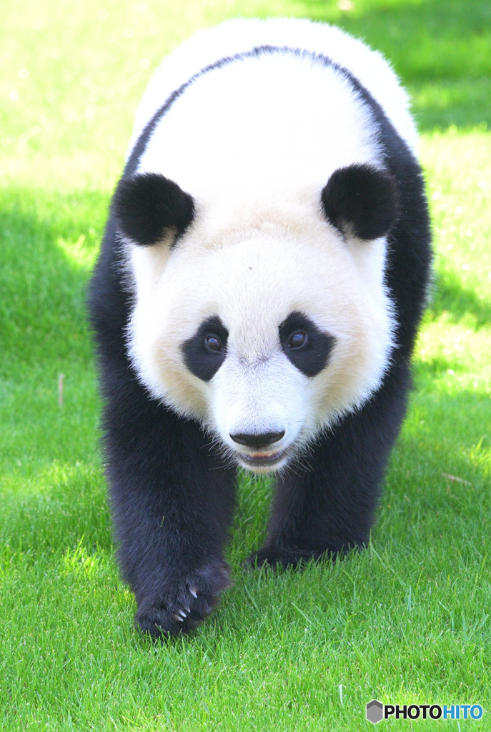 カメラ大好き♡