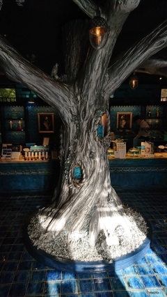 「銀の森」にて