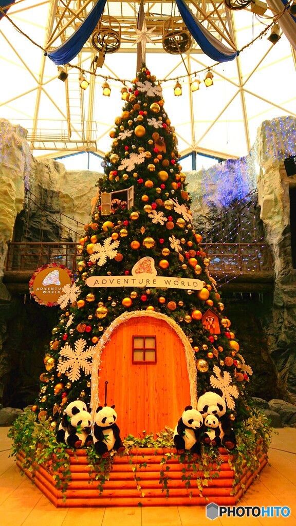 メリークリスマス！(´ω｀)