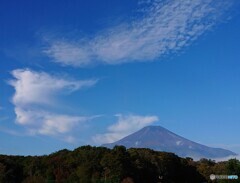 今朝の富士山