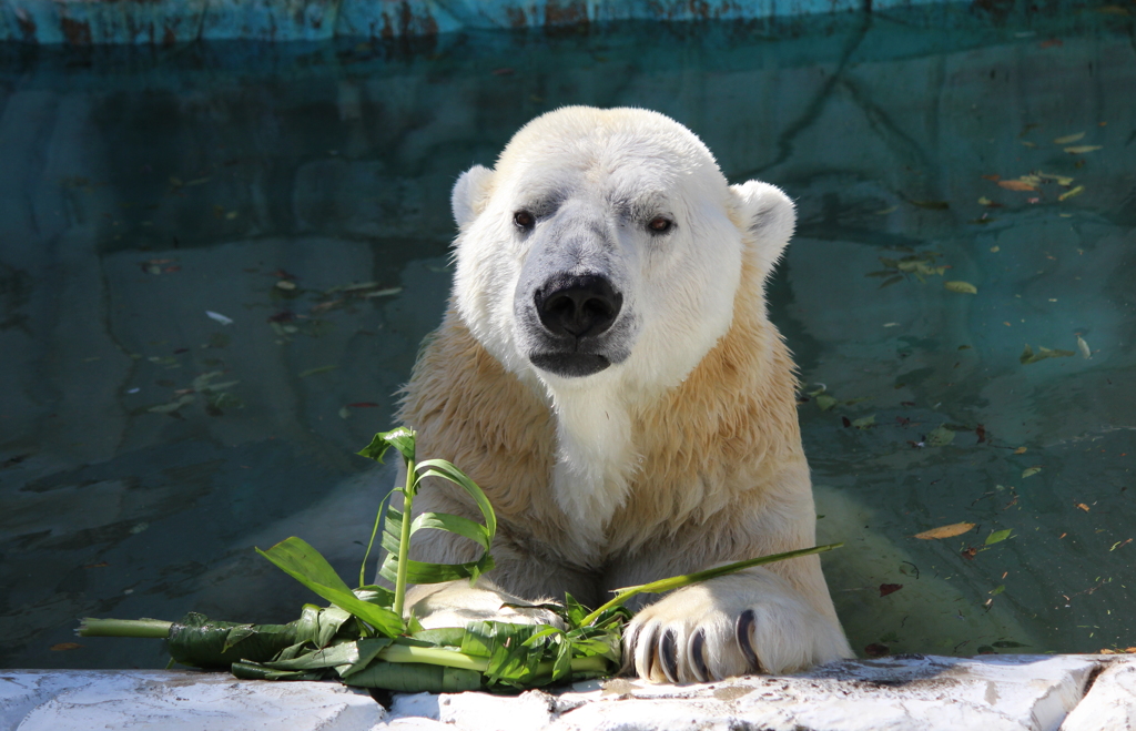 ナニか言いたげな