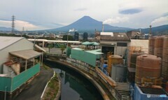 本日の富士山