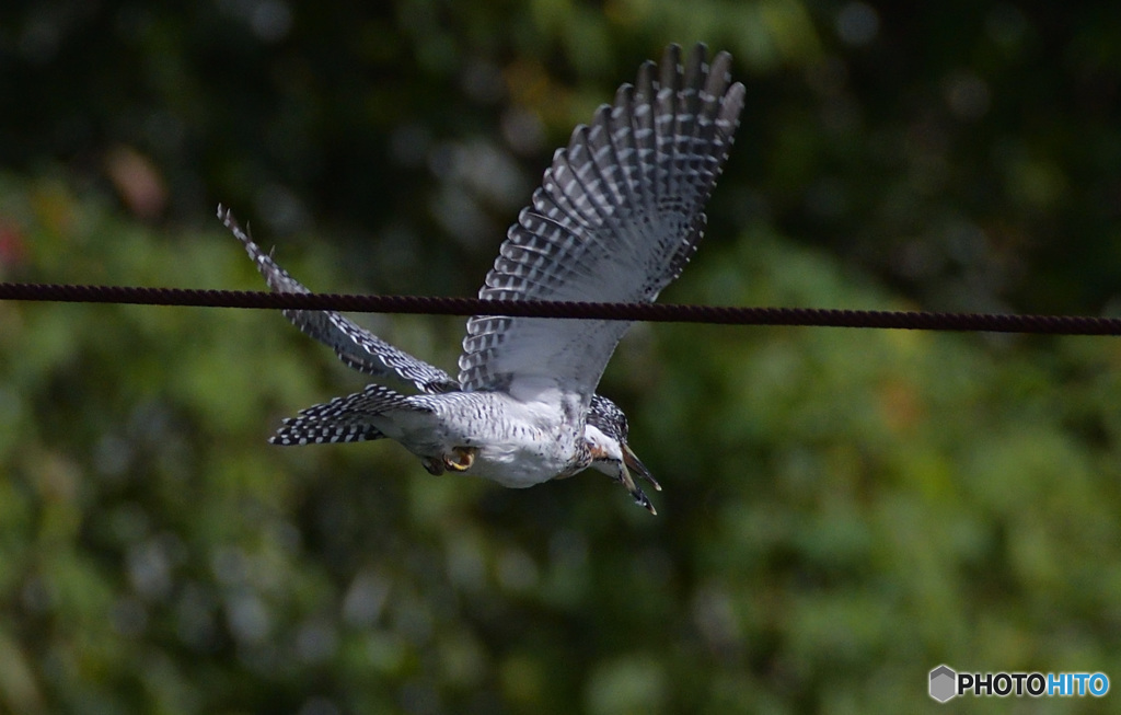 ヤマちゃん、行きま～す！