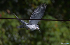 ヤマちゃん、行きま～す！
