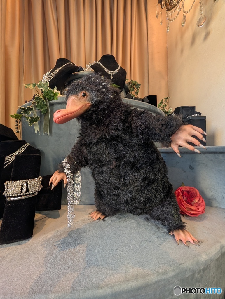 ドヤ顔のニフラー