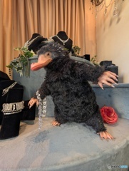 ドヤ顔のニフラー