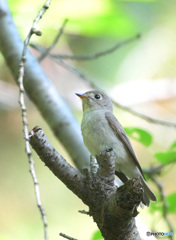 本日の「キミの名は？」