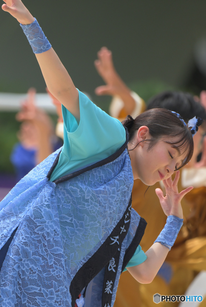 どまつり７９