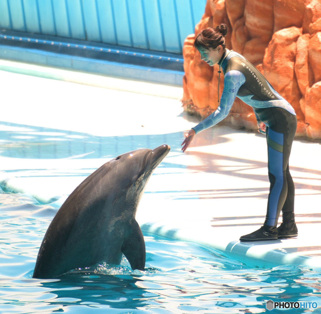 イルカとお姉さんⅣ