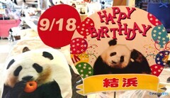 結浜も5歳になりました