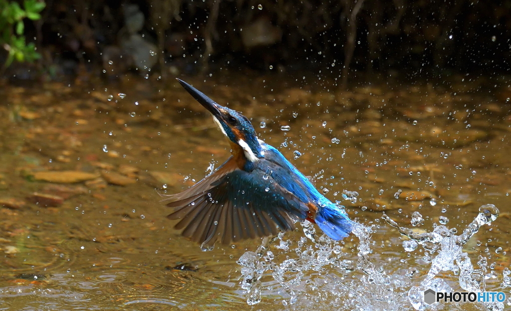 離水！