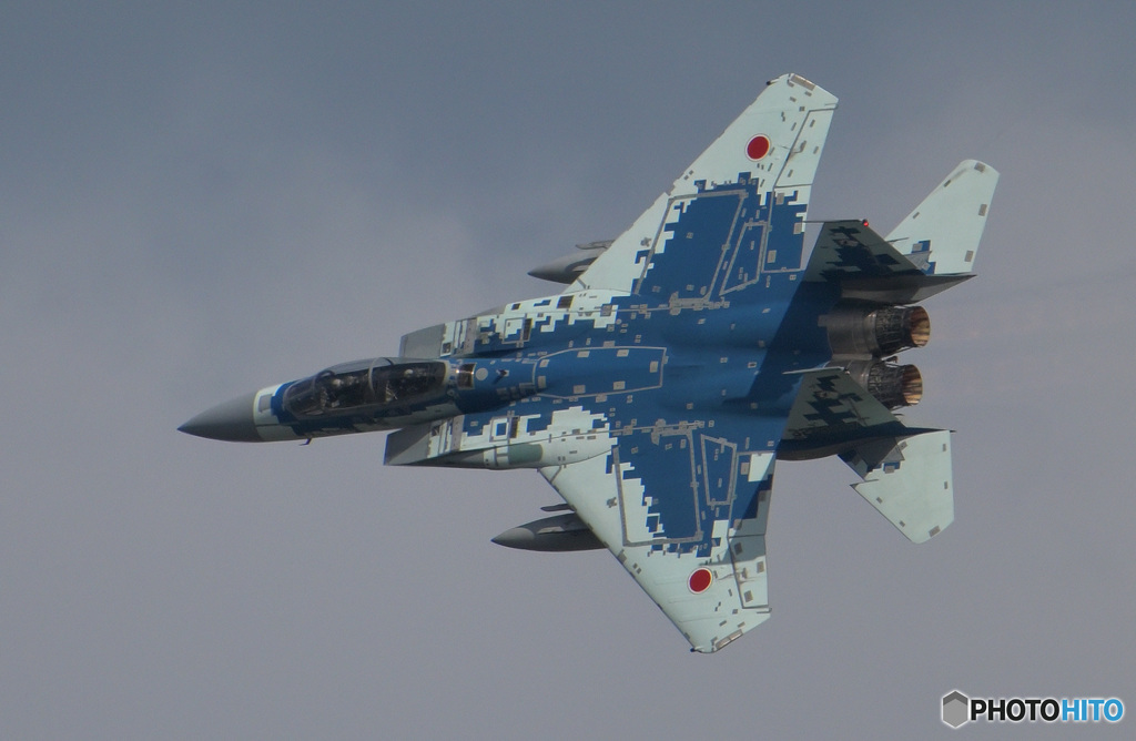 在庫のアグレッサー