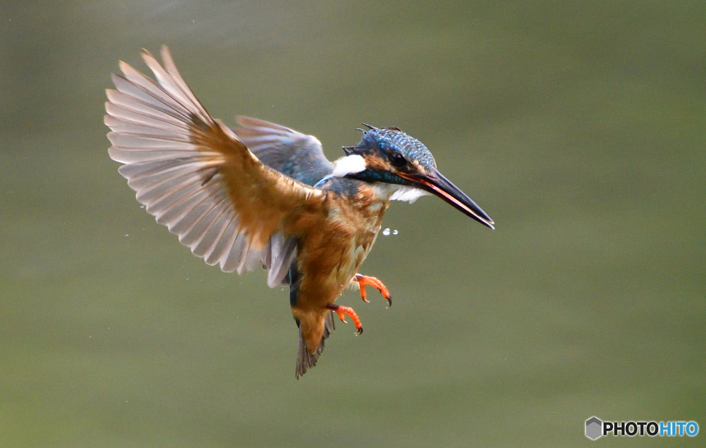 本日のホバリング(20160830）