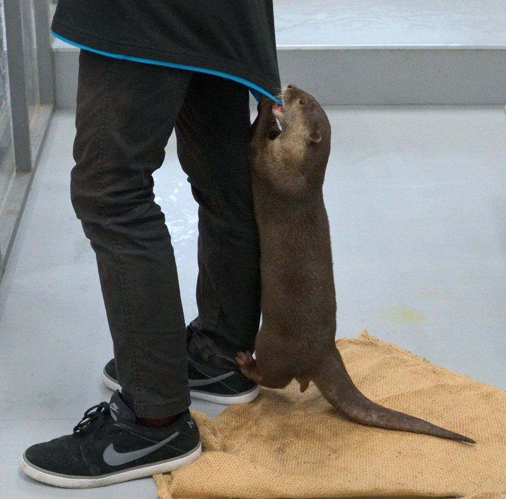 お兄さん、遊んで(>_<)