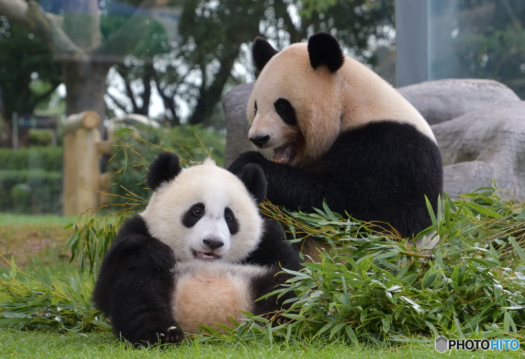 お母さんと一緒に①