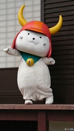 本日のひこにゃん