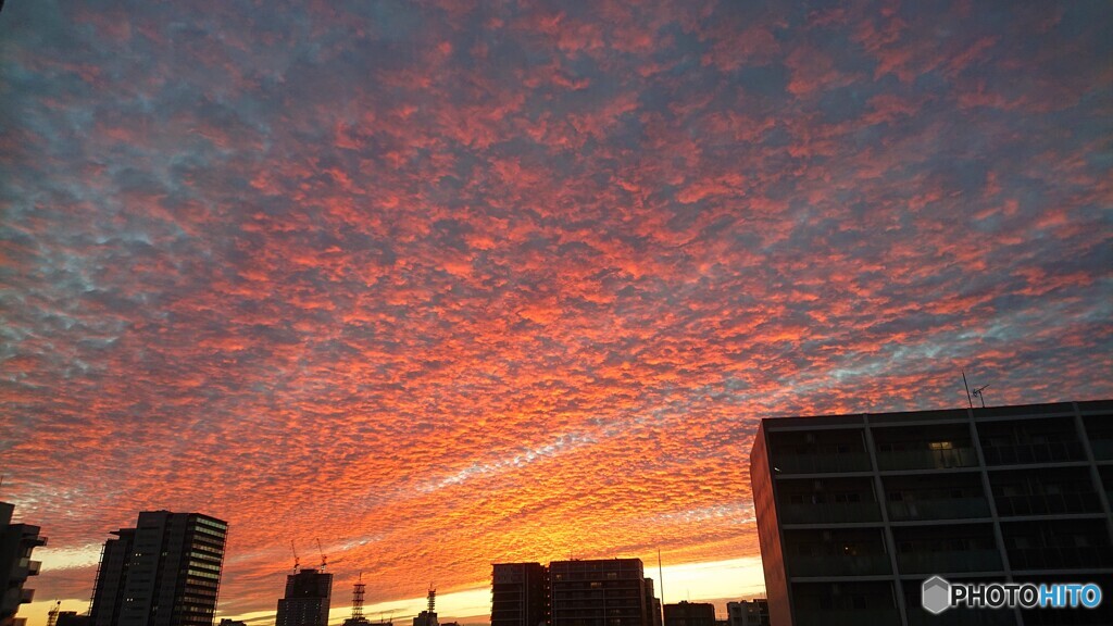 本日の夕焼け