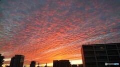 本日の夕焼け